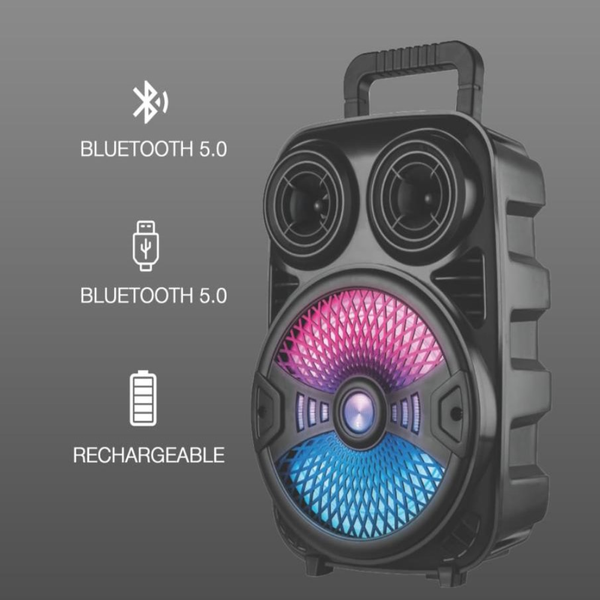 Rokers 30W Portable wireless speaker